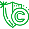 copyright-ico-g
